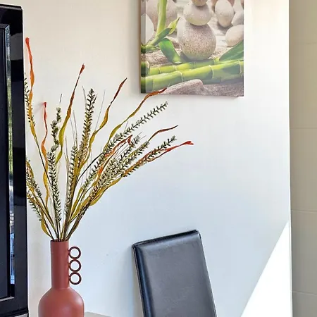 Rico 圣马克西姆