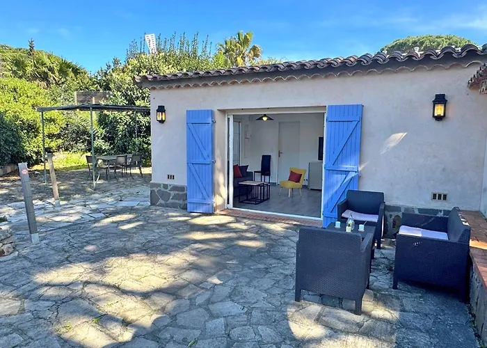 Rico 圣马克西姆