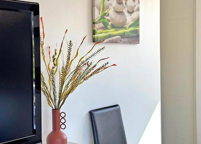 Rico 圣马克西姆